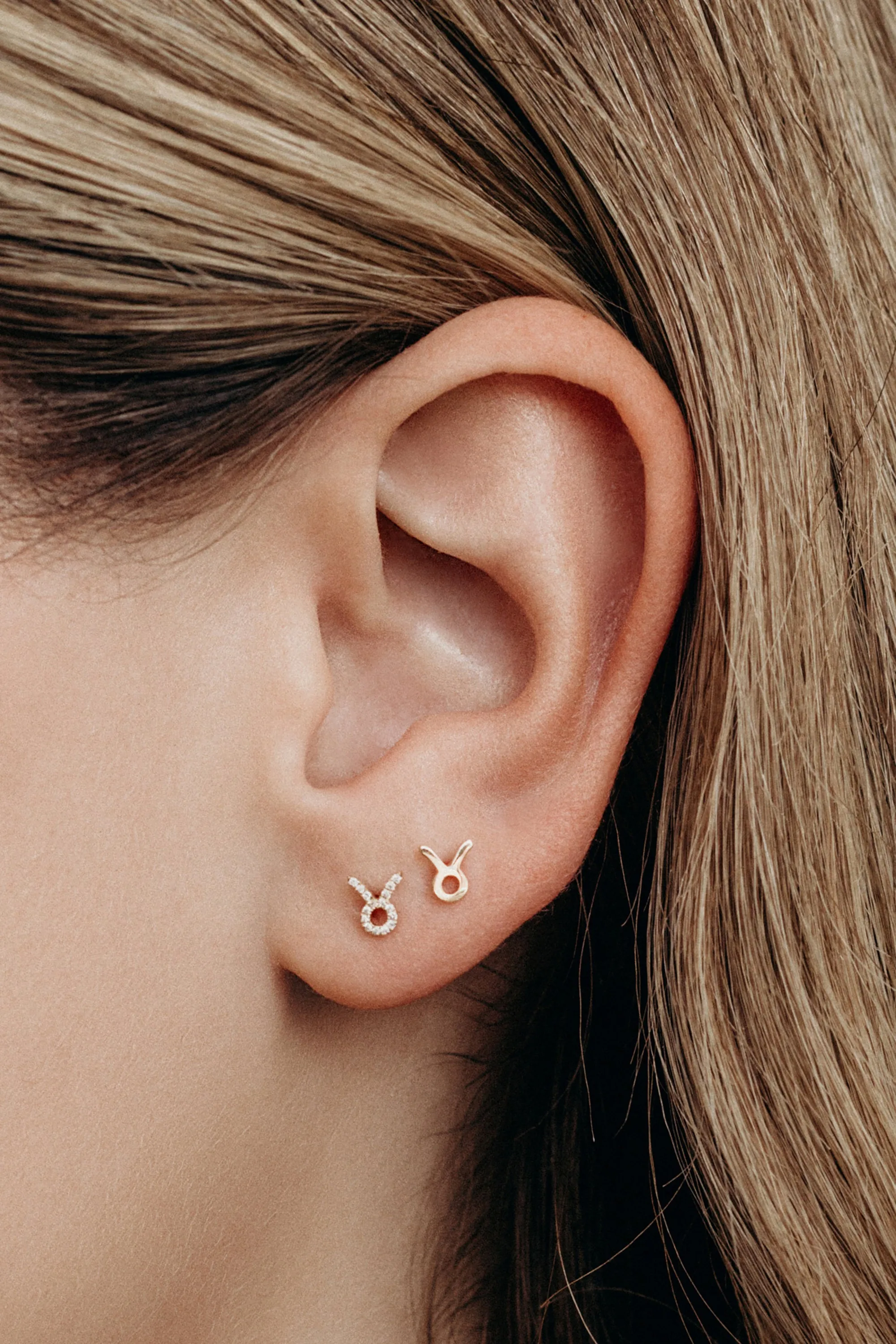 Mini Taurus Earring